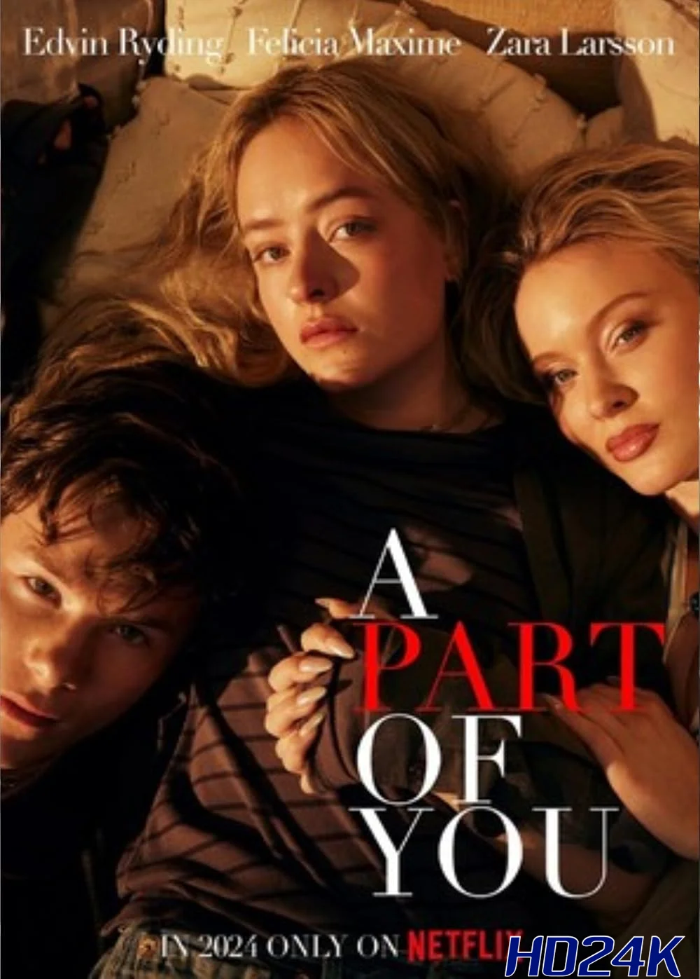 ดูหนัง A Part of You ส่วนหนึ่งของเธอ (2024) NETFLIX