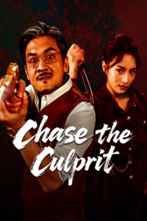 ดูหนัง Chase the Culprit (2025) ไล่ล่าวายร้าย (2025) เต็มเรื่อง