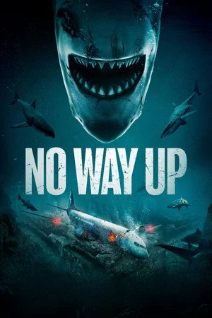 ดูหนัง No Way Up (2024) งาบคลั่งไฟลต์ (2024) เต็มเรื่อง