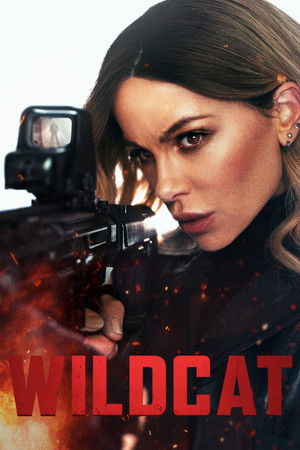 ดูหนัง Wildcat (2025) ไวลด์แคท สวยต้องปล้น (2025) เต็มเรื่อง